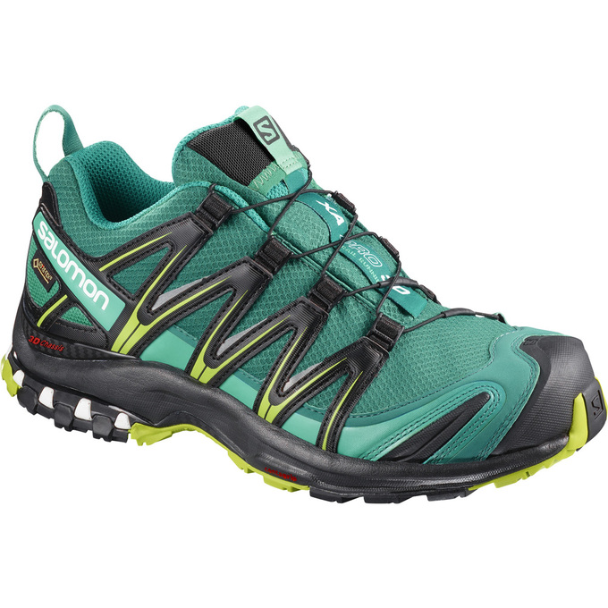 Salomon Singapore Womens Trail Running Shoes - XA PRO 3D GTX® W Green | 53174-RGNC